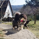 Lucy