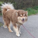 Kapu