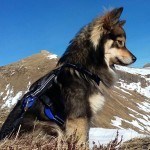 Sampo