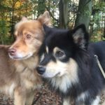 Ayla & Aatos