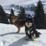 Ayla und Aatos
