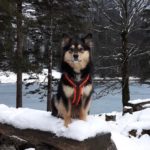 Finja