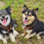 Kajo und Finja