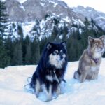 5dc5998c-5128-48a7-8af6-7ba42d470c39